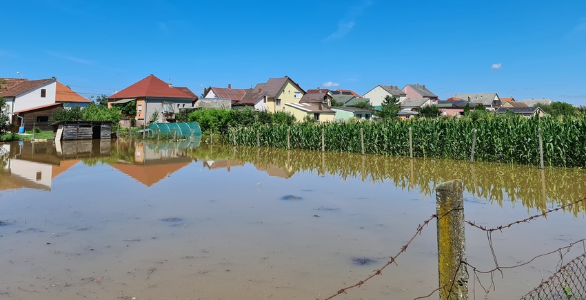 Kiemelő fotó - Ajánlás fertõtlenítõ eljárásokra