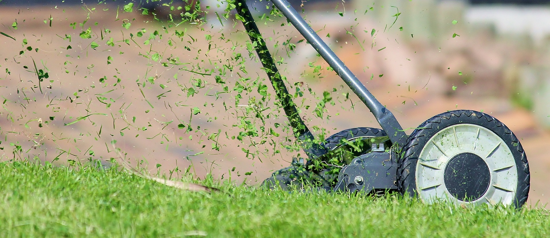Kiemelő fotó - Lakossági tájékoztató a 2021. évi kaszálásról