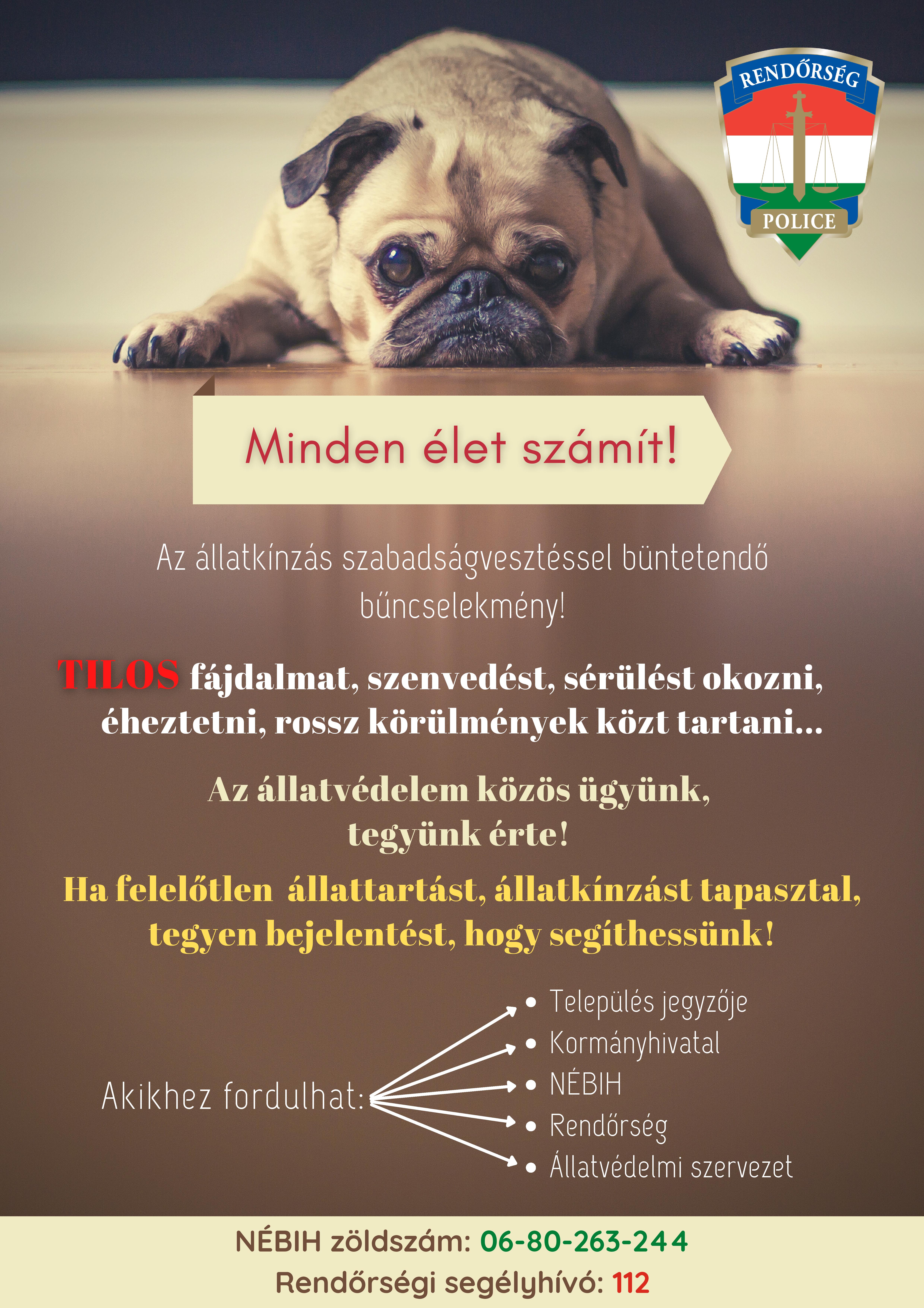 Kiemelő fotó - Minden élet számít!