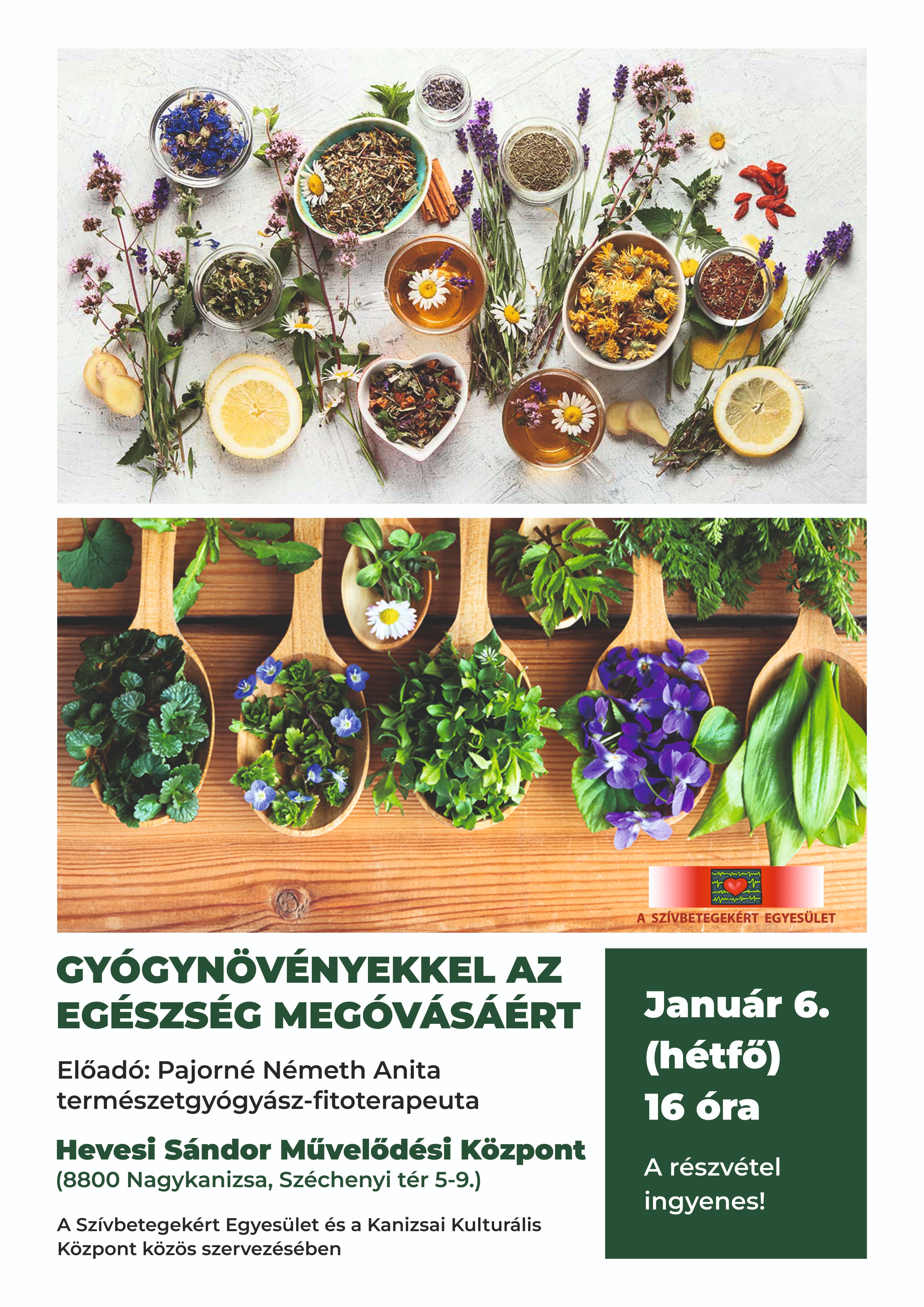Kiemelő fotó - Gyógynövényekkel az egészség megóvásáért (január 6.)