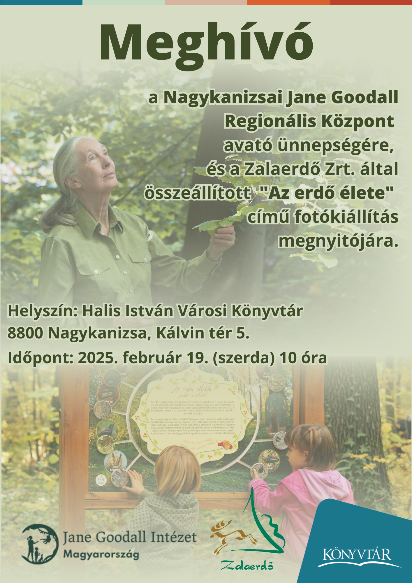 Kiemelő fotó - Az erdõ élete - fotókiállítás (február 19.)