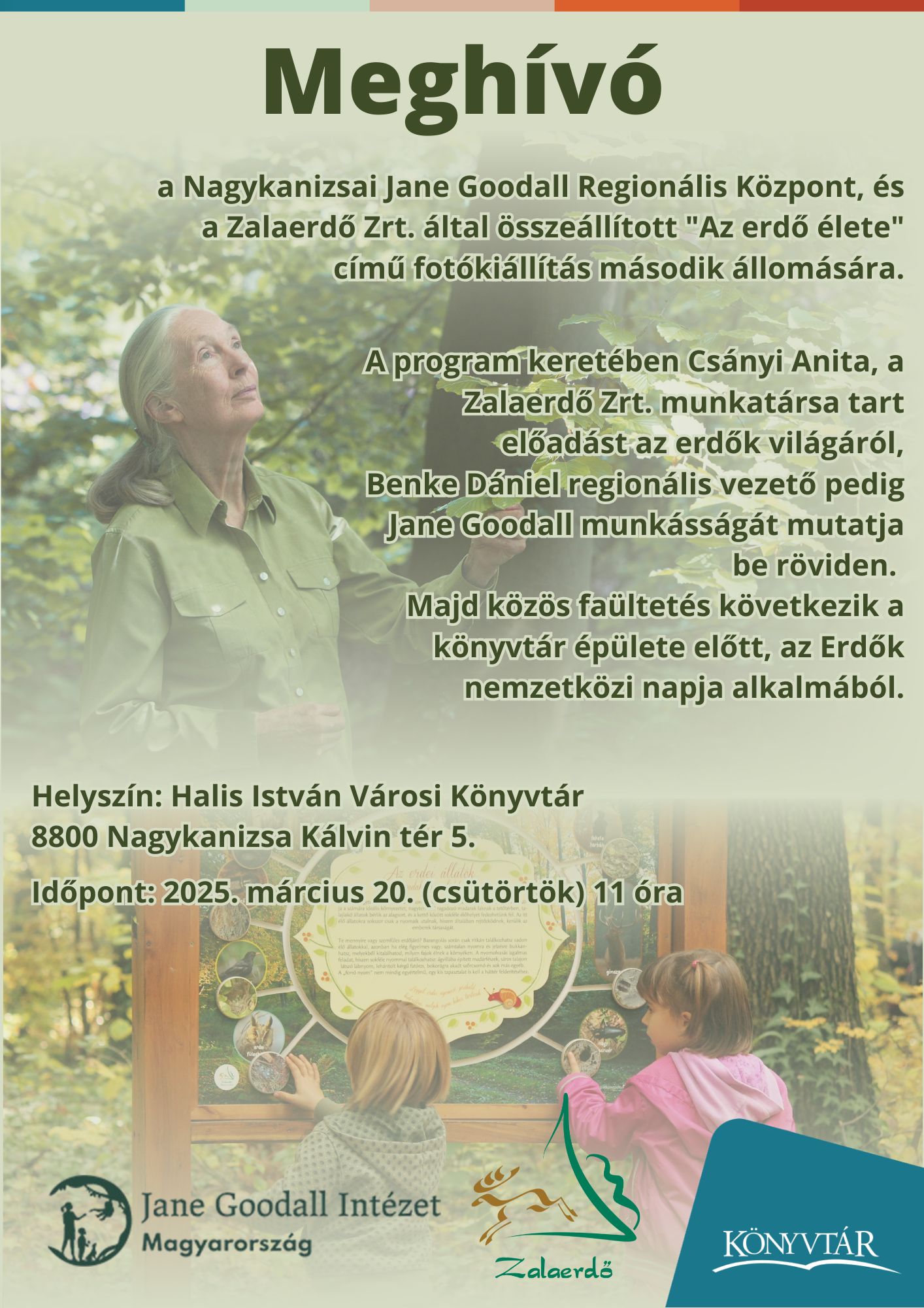Kiemelő fotó - Az erdõ élete (március 20.)
