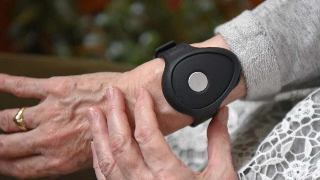 Gondosóra nap Kiemelő fotó - Gondosóra nap