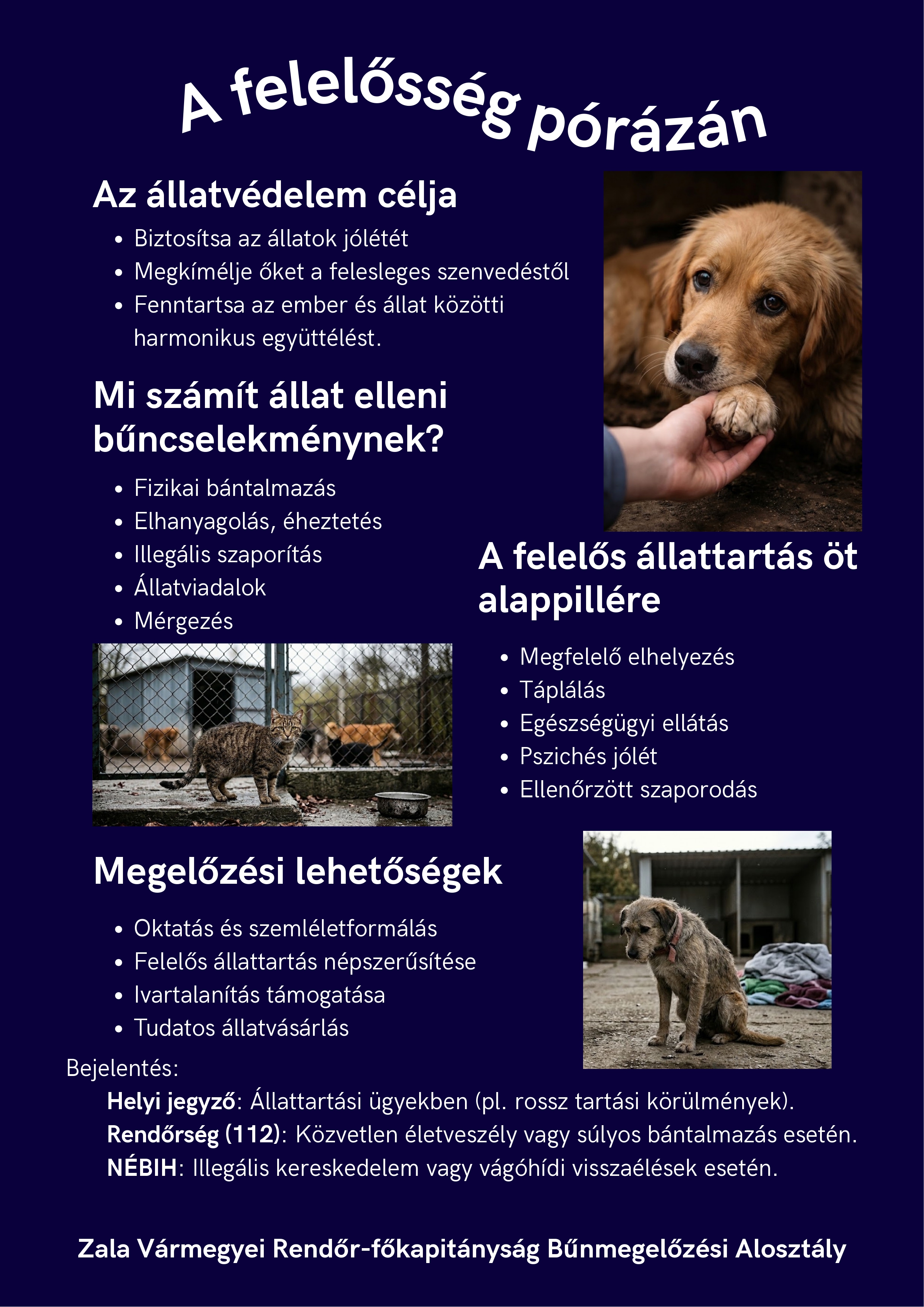 Kiemelő fotó - A felelõsség pórázán