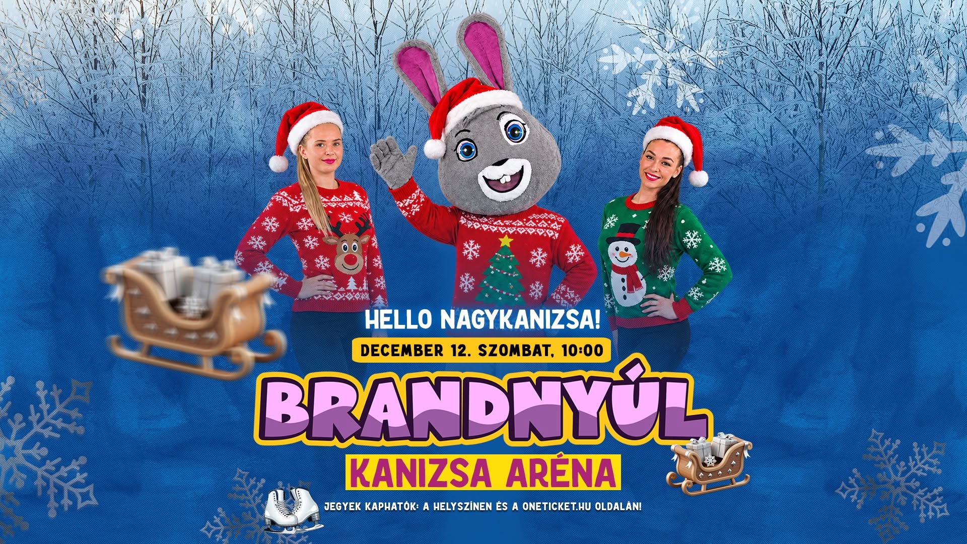 Brandnyúl (december 12.) Kiemelő fotó - Brandnyúl (december 12.)