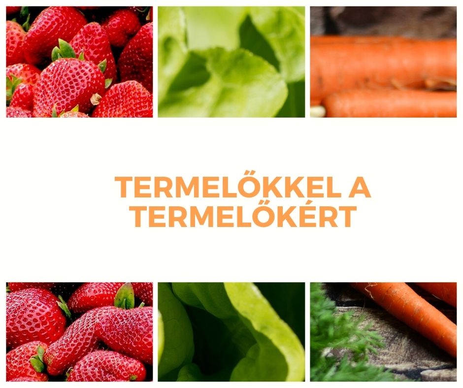 Tartalom - Polgármesteri felhívás a koronavírussal kapcsolatban - termelõkkel a termelõkért 2020.04.23.