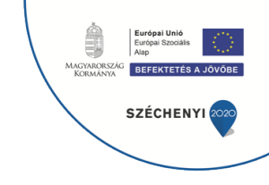 Tartalom - Nõ az erõ! Családvédõ szolgáltatások nõknek Zala megyében, A pályázat címe/száma: EFOP-1.2.9-17-2017-00022