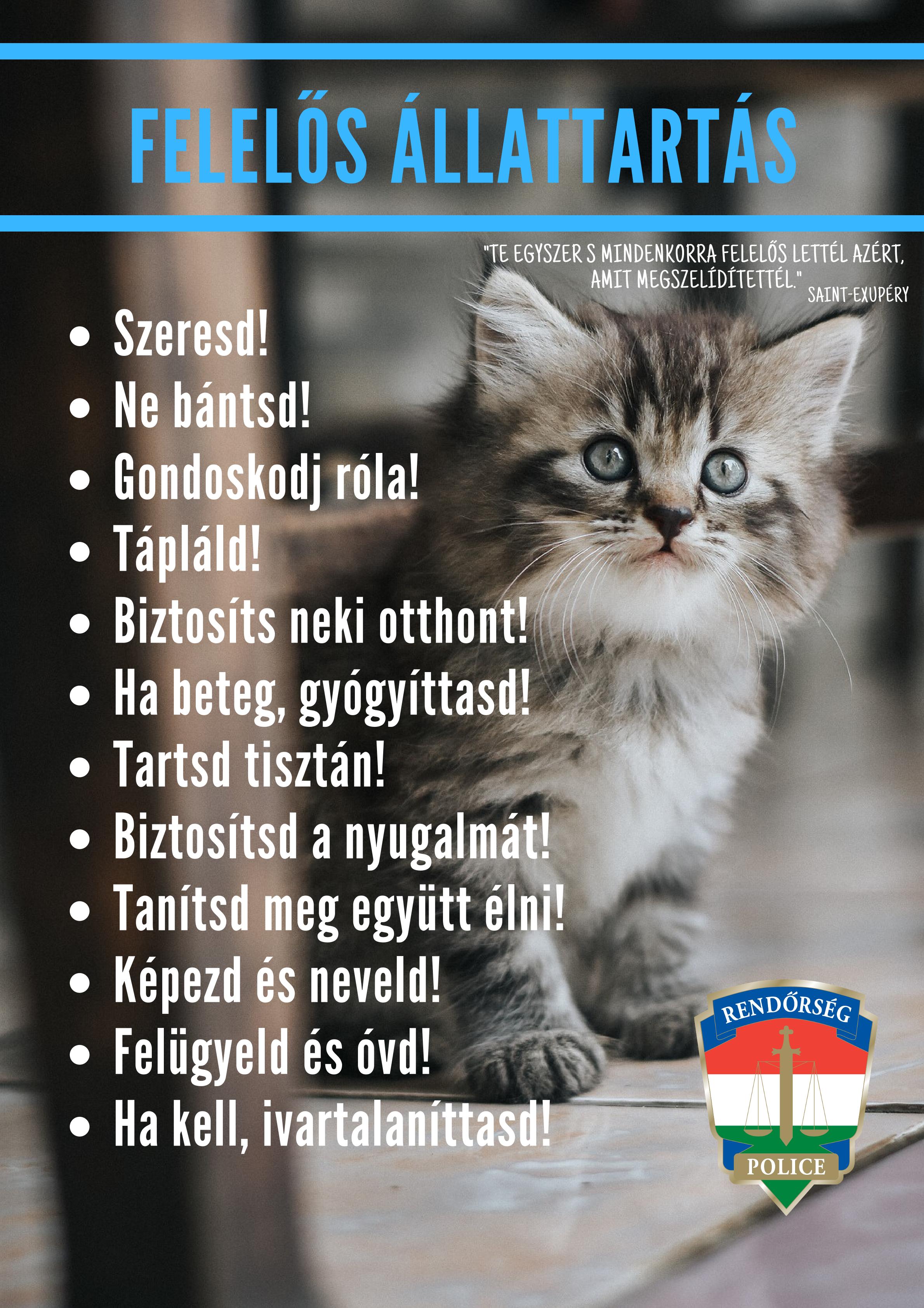 Tartalom - Legyen Ön is felelõs állattartó!