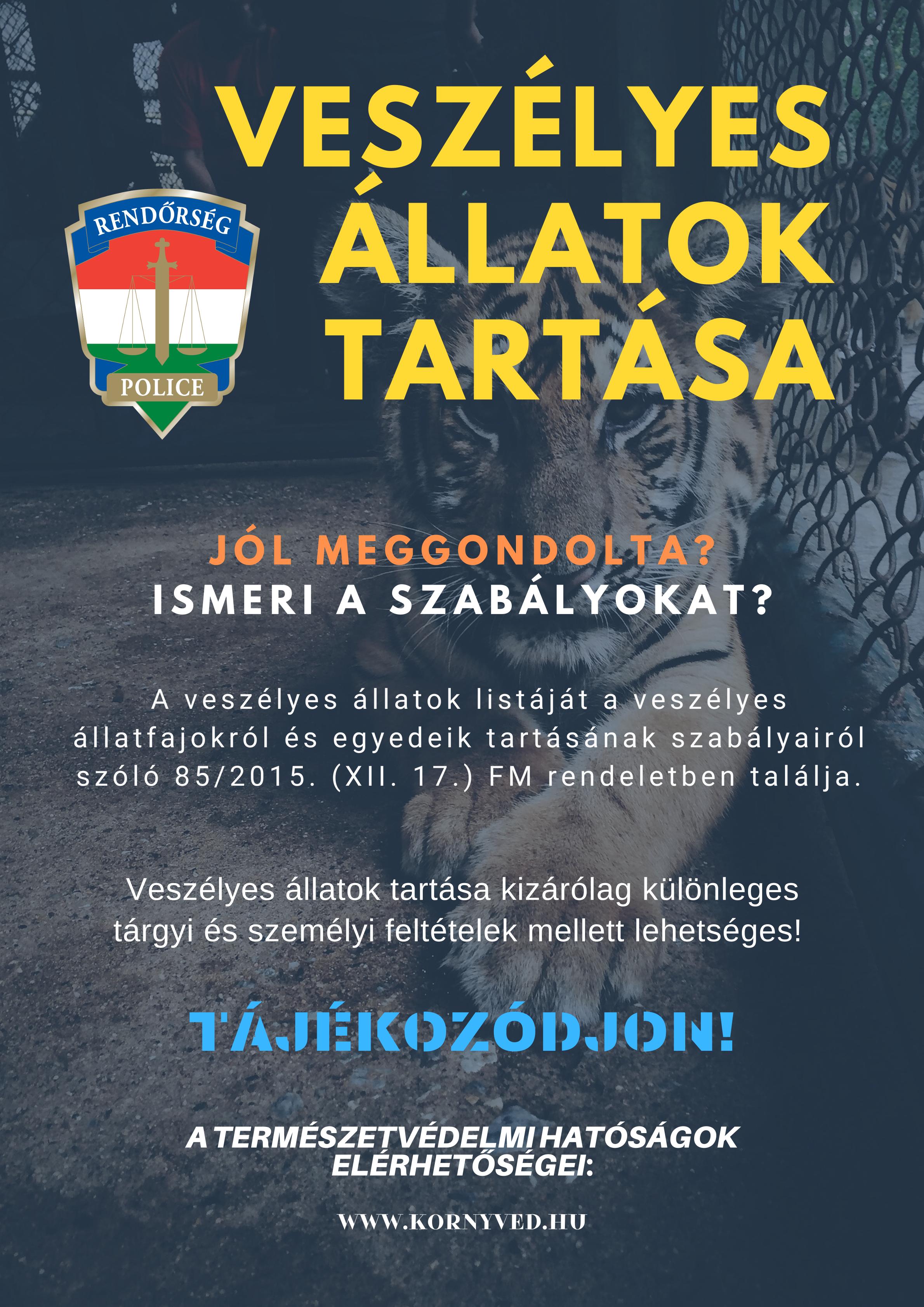 Tartalom - Jól meggondolta?!