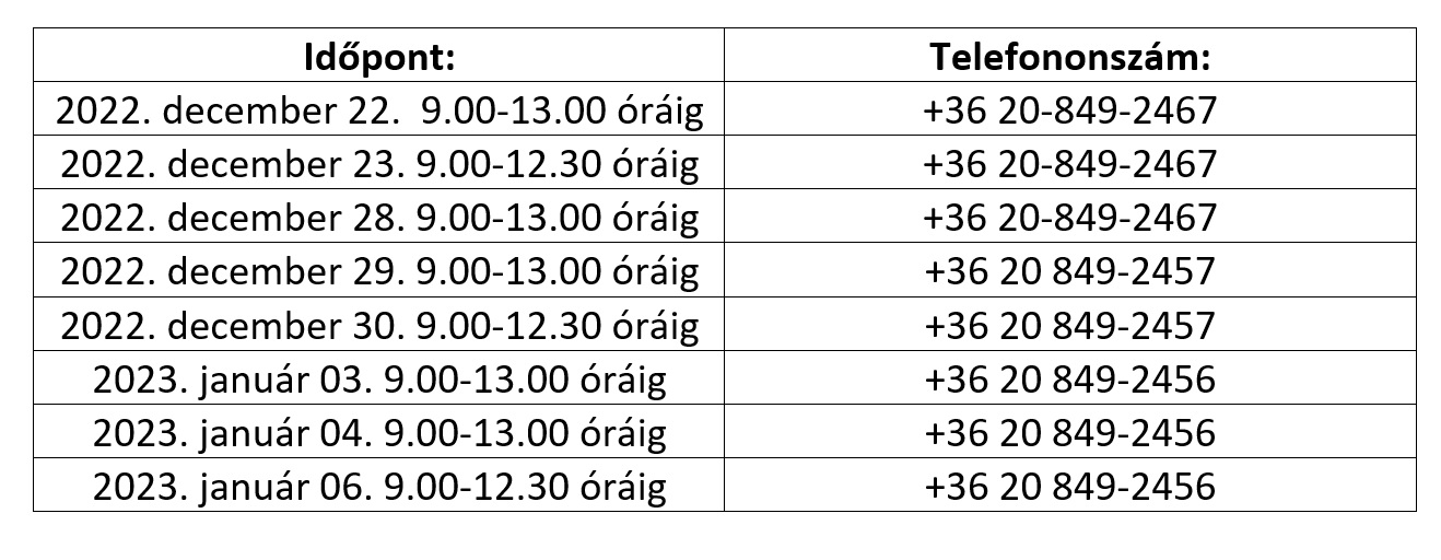 Tartalom - Anyakönyvezés az igazgatási szünetben