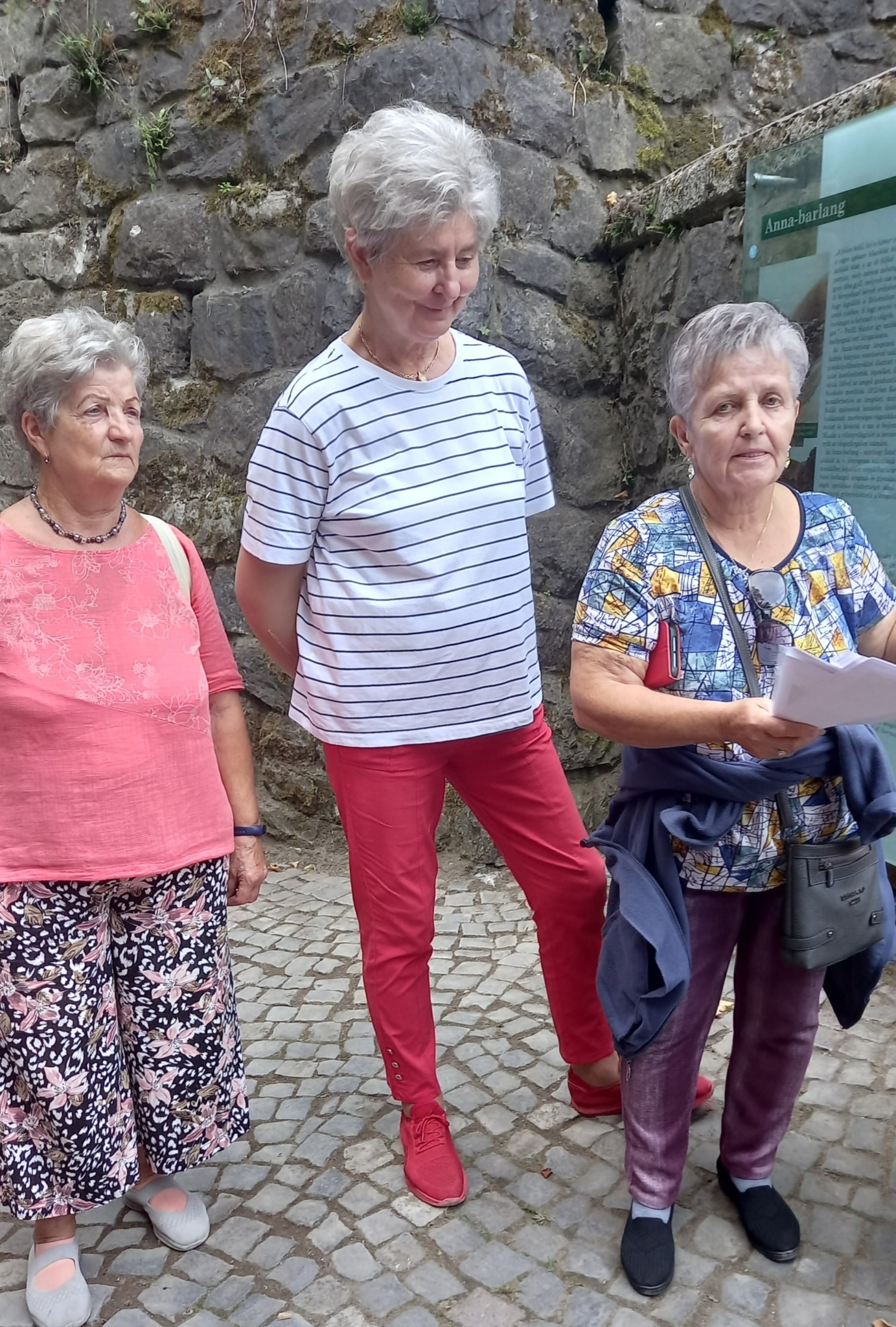 Tartalom - A világ legnagyobb könyvét nézték meg a Napfényesek